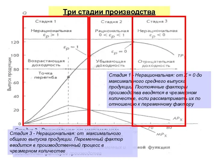 Три стадии производства Стадия 1 - Нерациональная: от Х = 0