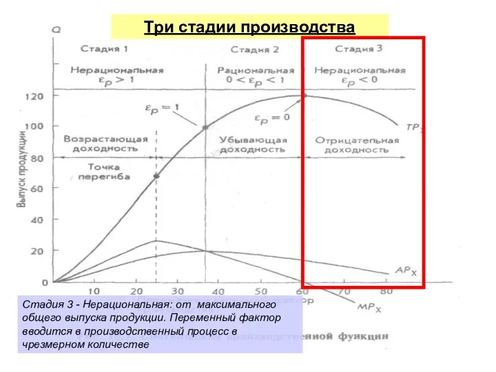 Три стадии производства Стадия 3 - Нерациональная: от максимального общего выпуска