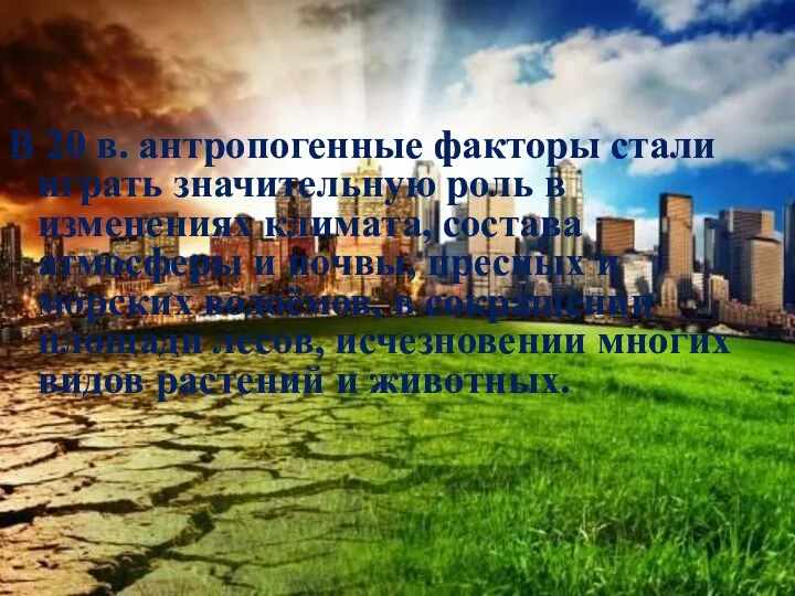 В 20 в. антропогенные факторы стали играть значительную роль в изменениях