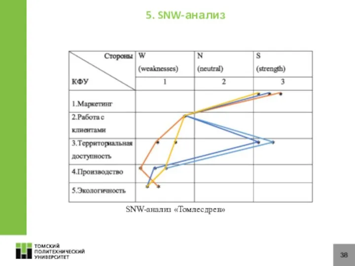 38 SNW-анализ «Томлесдрев» 5. SNW-анализ