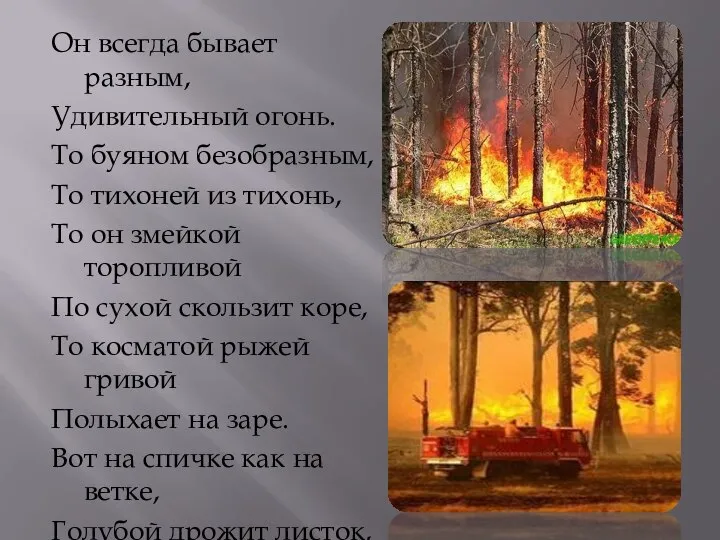 Он всегда бывает разным, Удивительный огонь. То буяном безобразным, То тихоней