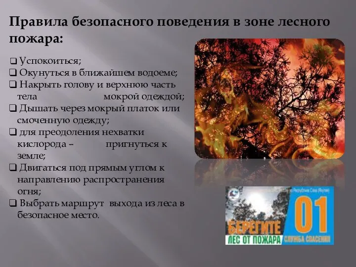 Правила безопасного поведения в зоне лесного пожара: Успокоиться; Окунуться в ближайшем