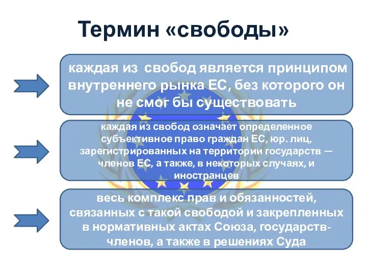 Термин «свободы» каждая из свобод является принципом внутреннего рынка ЕС, без