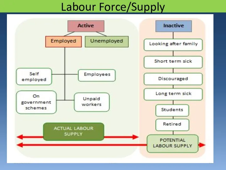 Labour Force/Supply 29/03/2017 Sonali