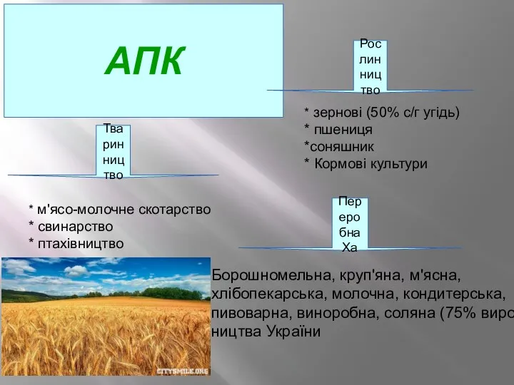 АПК Тваринництво Переробна Ха Рослинництво * м'ясо-молочне скотарство * свинарство *