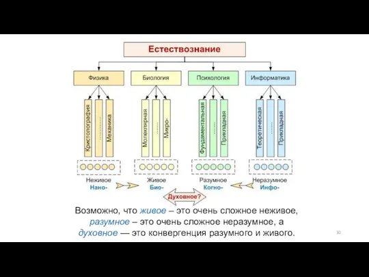 Возможно, что живое – это очень сложное неживое, разумное – это