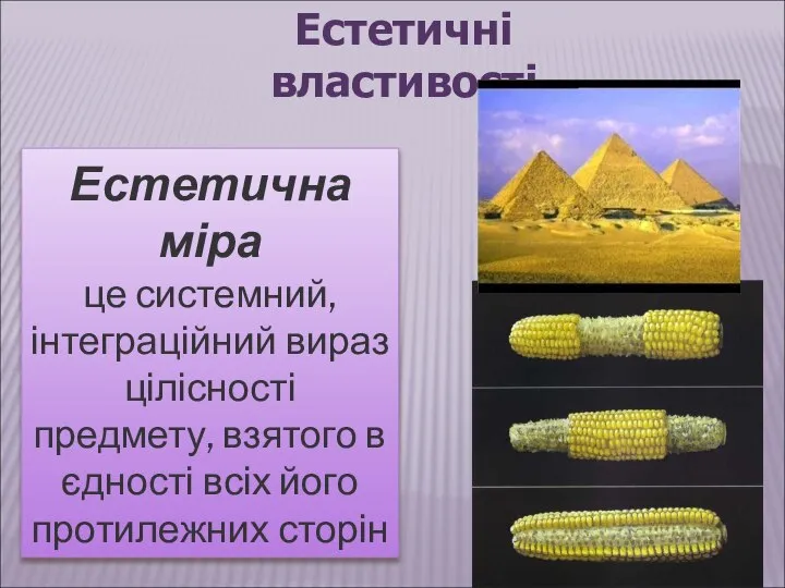 Естетичні властивості Естетична міра це системний, інтеграційний вираз цілісності предмету, взятого