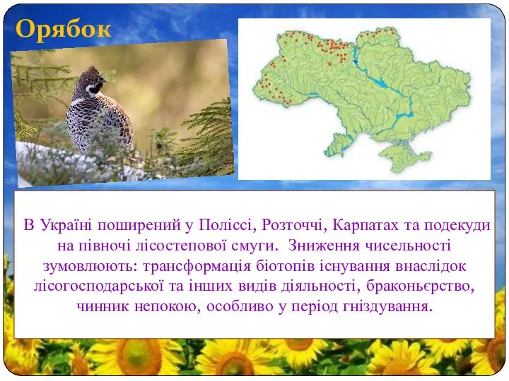 Орябок В Україні поширений у Поліссі, Розточчі, Карпатах та подекуди на