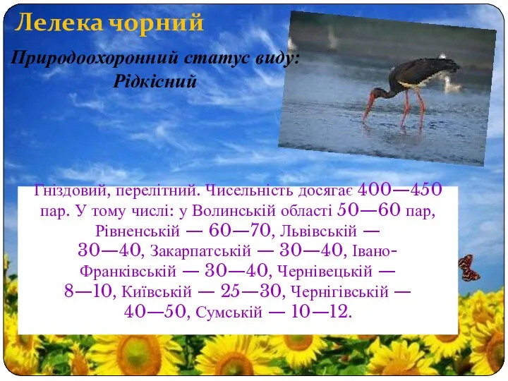 Лелека чорний Гніздовий, перелітний. Чисельність досягає 400—450 пар. У тому числі: