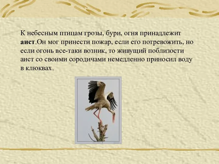 К небесным птицам грозы, бури, огня принадлежит аист.Он мог принести пожар,