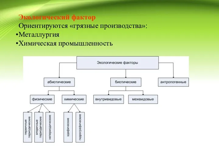 Экологический фактор Ориентируются «грязные производства»: Металлургия Химическая промышленность