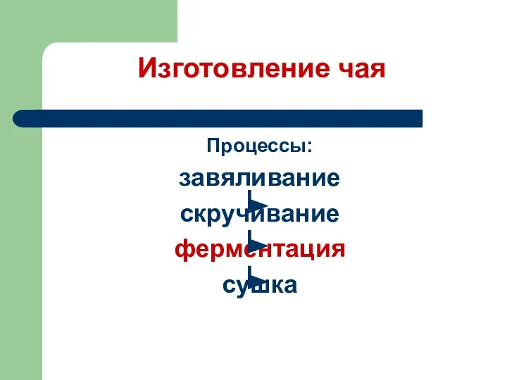 Изготовление чая Процессы: завяливание скручивание ферментация сушка