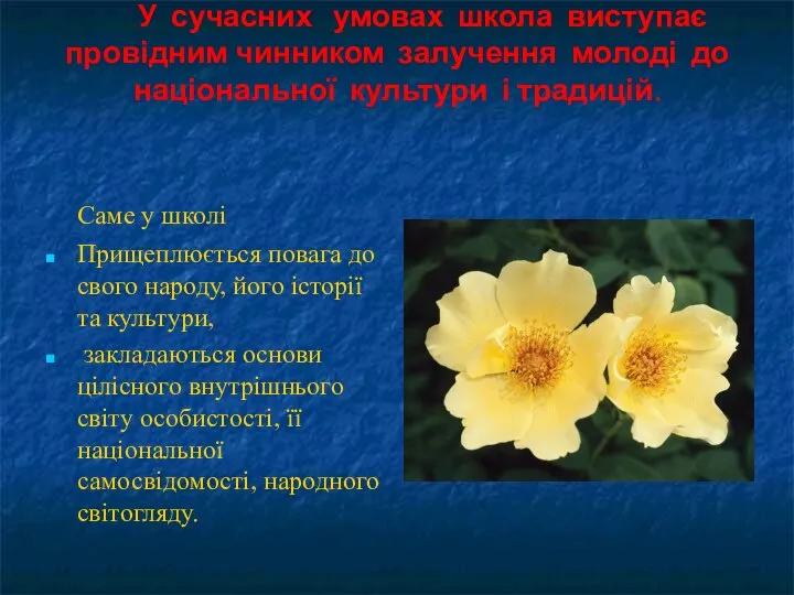 У сучасних умовах школа виступає провідним чинником залучення молоді до національної