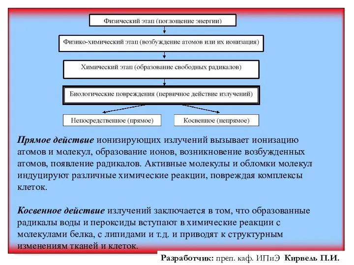 Прямое действие ионизирующих излучений вызывает ионизацию атомов и молекул, образование ионов,