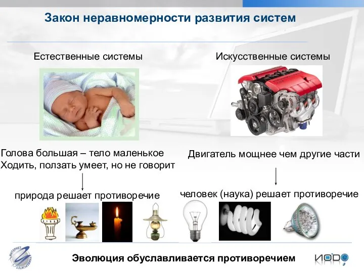 Закон неравномерности развития систем Естественные системы Голова большая – тело маленькое