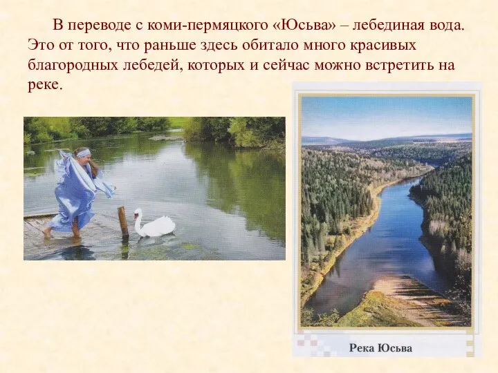 В переводе с коми-пермяцкого «Юсьва» – лебединая вода. Это от того,