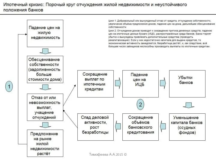 Тимофеева А.А.2015 ©