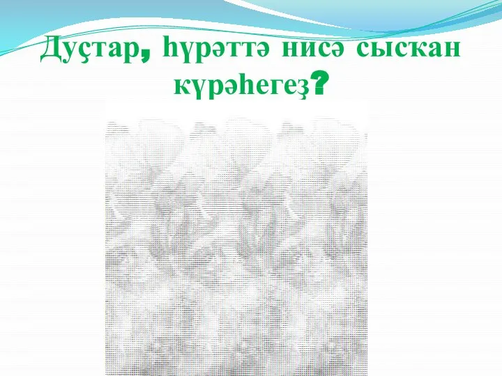 Дуҫтар, һүрәттә нисә сысҡан күрәһегеҙ?