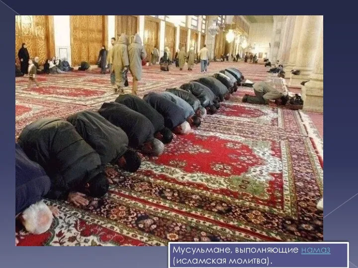 Мусульмане, выполняющие намаз (исламская молитва).