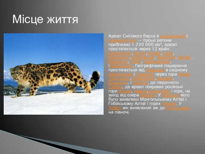 Ареал Снігового барса в центральній і південній Азії — гірські регіони