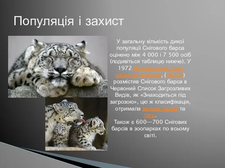 Популяція і захист У загальну кількість дикої популяції Снігового барса оцінено