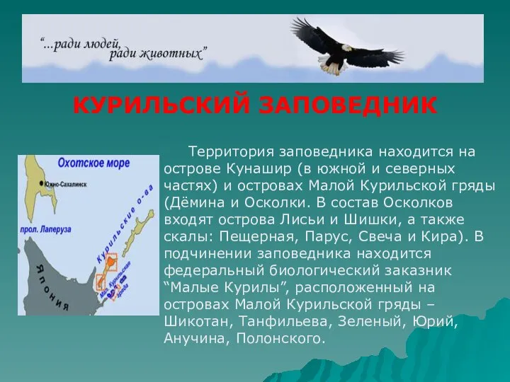 КУРИЛЬСКИЙ ЗАПОВЕДНИК Территория заповедника находится на острове Кунашир (в южной и