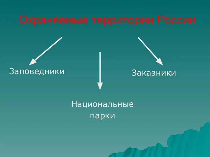 Охраняемые территории России Заповедники Заказники Национальные парки