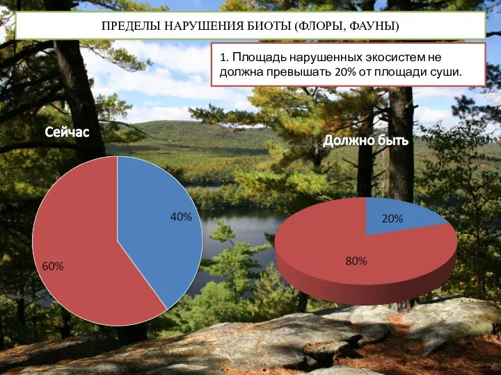 ПРЕДЕЛЫ НАРУШЕНИЯ БИОТЫ (ФЛОРЫ, ФАУНЫ) 1. Площадь нарушенных экосистем не должна превышать 20% от площади суши.