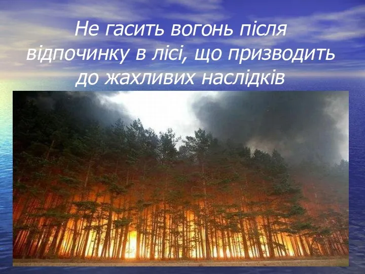 Не гасить вогонь після відпочинку в лісі, що призводить до жахливих наслідків