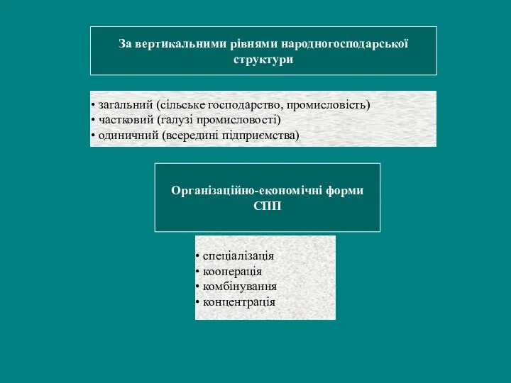 За вертикальними рівнями народногосподарської структури загальний (сільське господарство, промисловість) частковий (галузі