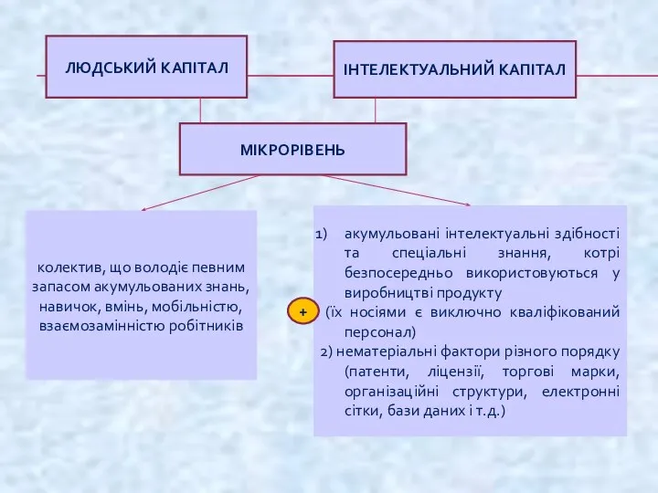 ЛЮДСЬКИЙ КАПІТАЛ ІНТЕЛЕКТУАЛЬНИЙ КАПІТАЛ МІКРОРІВЕНЬ колектив, що володіє певним запасом акумульованих