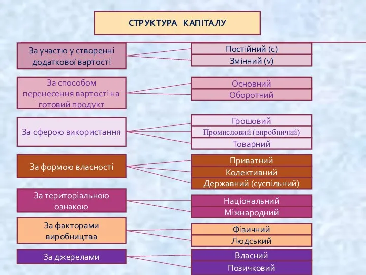 СТРУКТУРА КАПІТАЛУ За участю у створенні додаткової вартості Постійний (с) Змінний