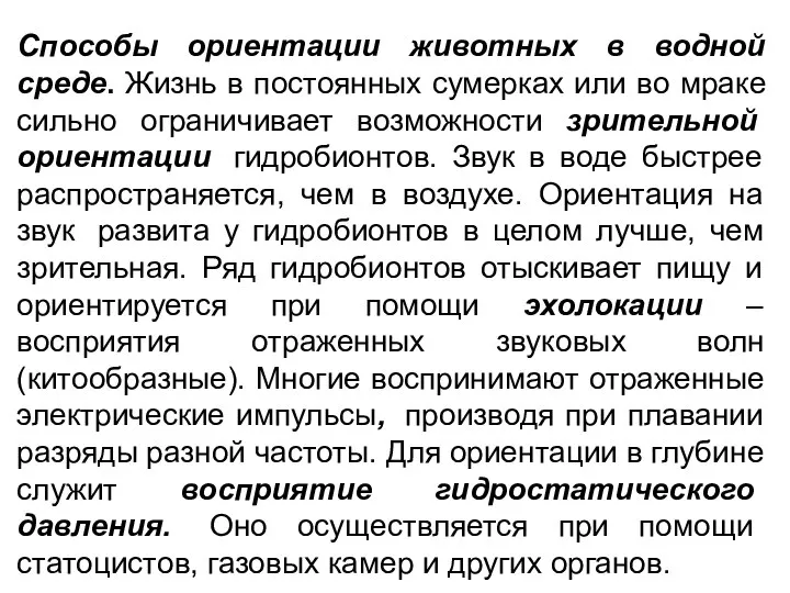 Способы ориентации животных в водной среде. Жизнь в постоянных сумерках или