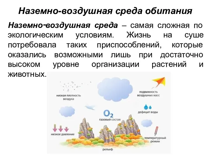 Наземно-воздушная среда обитания Наземно‑воздушная среда – самая сложная по экологическим условиям.