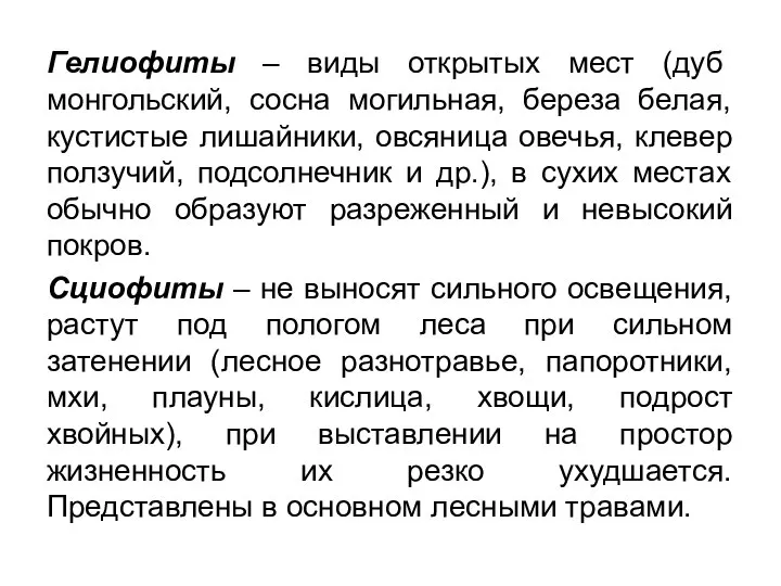 Гелиофиты – виды открытых мест (дуб монгольский, сосна могильная, береза белая,