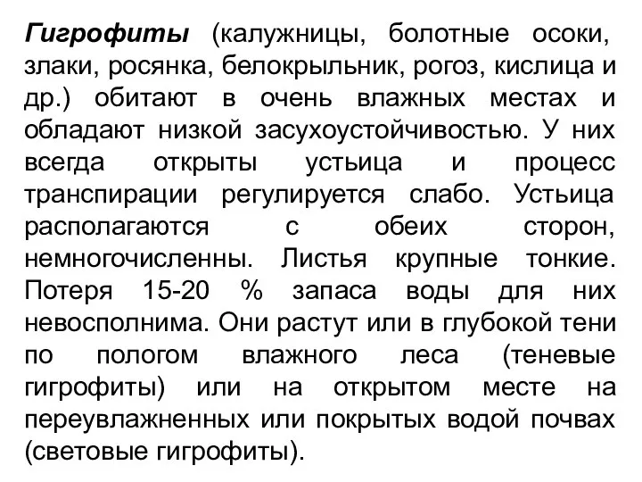 Гигрофиты (калужницы, болотные осоки, злаки, росянка, белокрыльник, рогоз, кислица и др.)