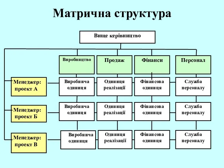 Матрична структура