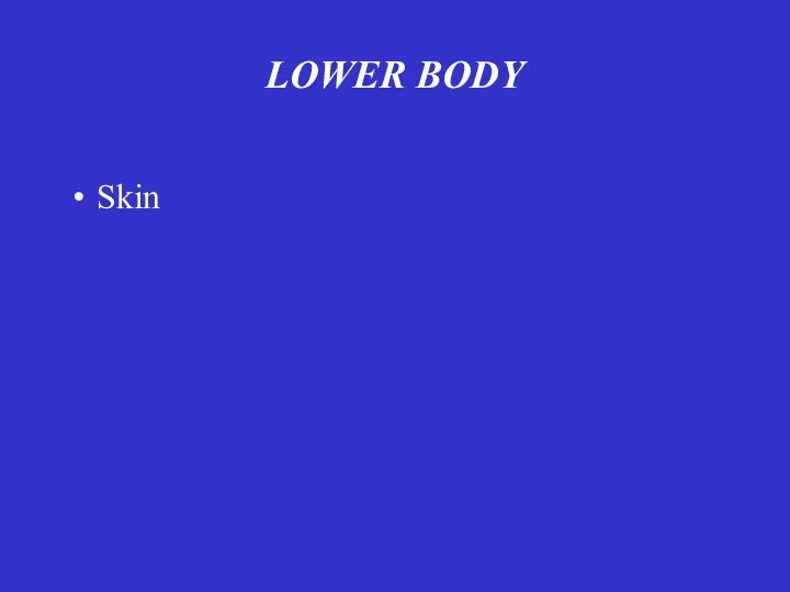 LOWER BODY Skin