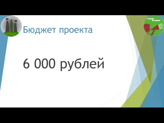 Бюджет проекта 6 000 рублей