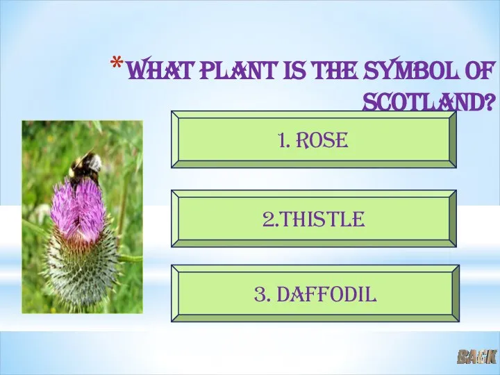 What plant is the symbol of Scotland? 2.thistle 3. daffodil 1. rose