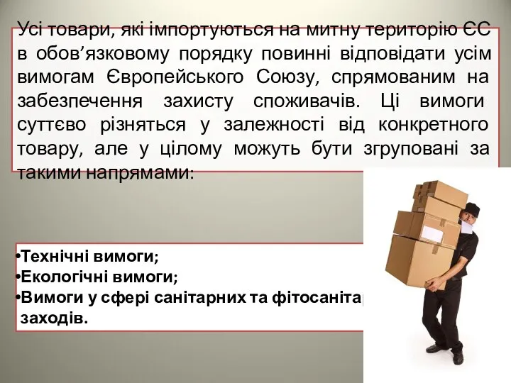 Усі товари, які імпортуються на митну територію ЄС в обов’язковому порядку