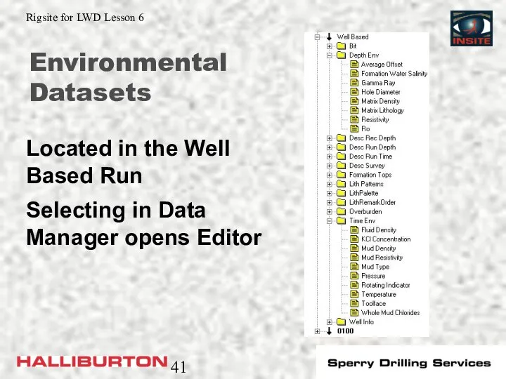 Environmental Datasets Located in the Well Based Run Selecting in Data Manager opens Editor