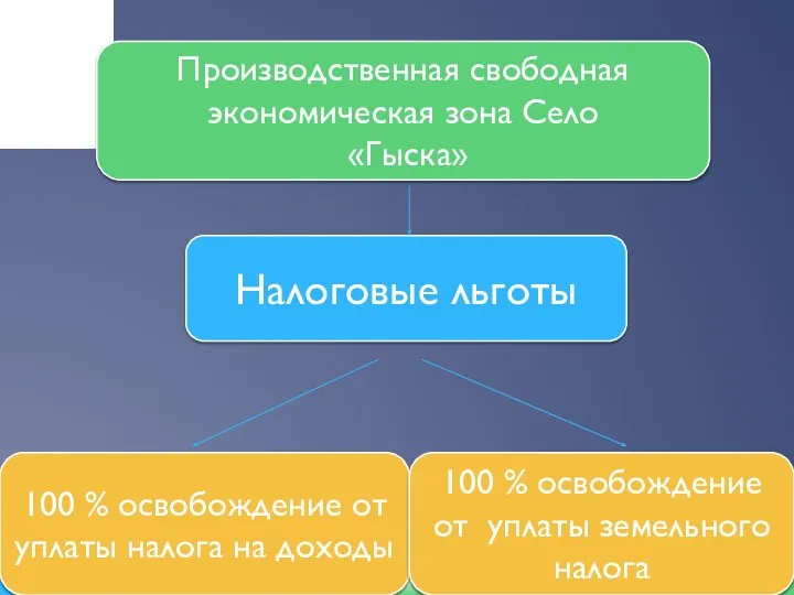 Производственная свободная экономическая зона Село «Гыска» Налоговые льготы 100 % освобождение