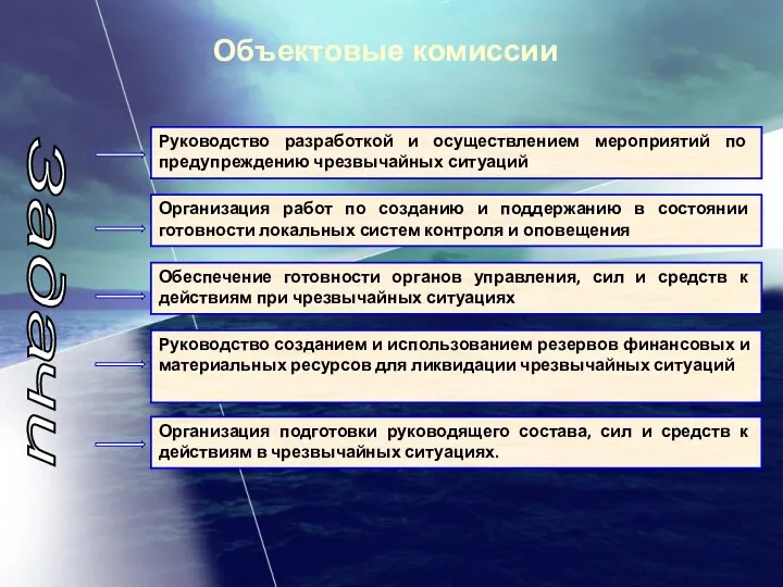 Объектовые комиссии Руководство разработкой и осуществлением мероприятий по предупреждению чрезвычайных ситуаций