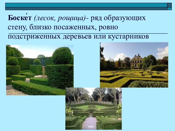 Боске́т (лесок, рощица)- ряд образующих стену, близко посаженных, ровно подстриженных деревьев или кустарников