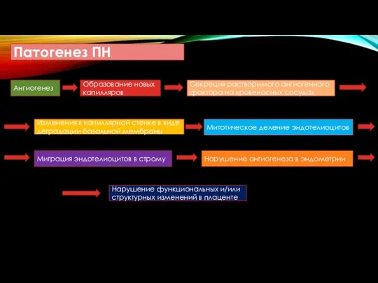 Патогенез ПН Ангиогенез Образование новых капилляров Секреция растворимого ангиогенного фактора на