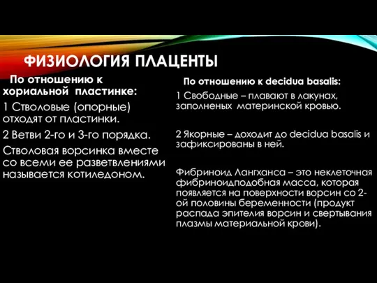 ФИЗИОЛОГИЯ ПЛАЦЕНТЫ По отношению к хориальной пластинке: 1 Стволовые (опорные) отходят