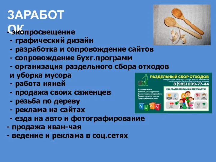 ЗАРАБОТОК экопросвещение - графический дизайн - разработка и сопровождение сайтов -