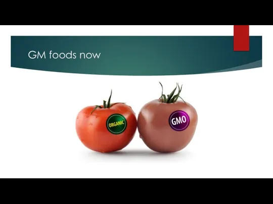 GM foods now