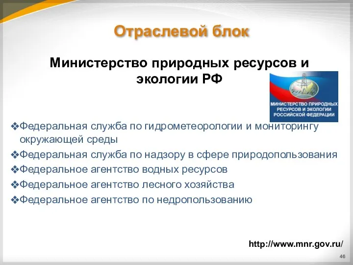 Отраслевой блок Министерство природных ресурсов и экологии РФ Федеральная служба по